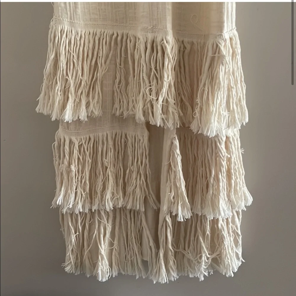 Zara Knit Fringe Tassel dress - Picture 3 of 10